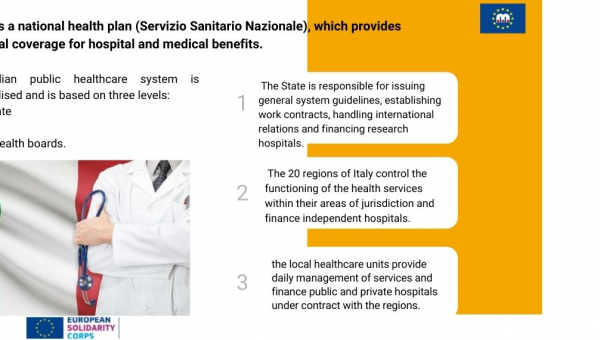 The italian halthcare system